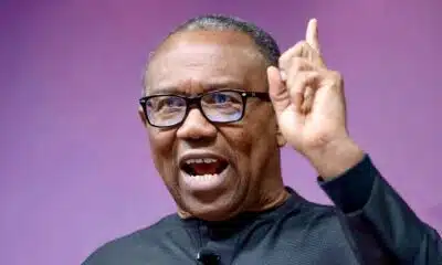 APC To Obi: Stop Spreading Misinformation, Focus On Constructive Criticism