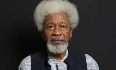 All Nigeria Needs Is Decentralisation - Wole Soyinka