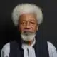 All Nigeria Needs Is Decentralisation - Wole Soyinka