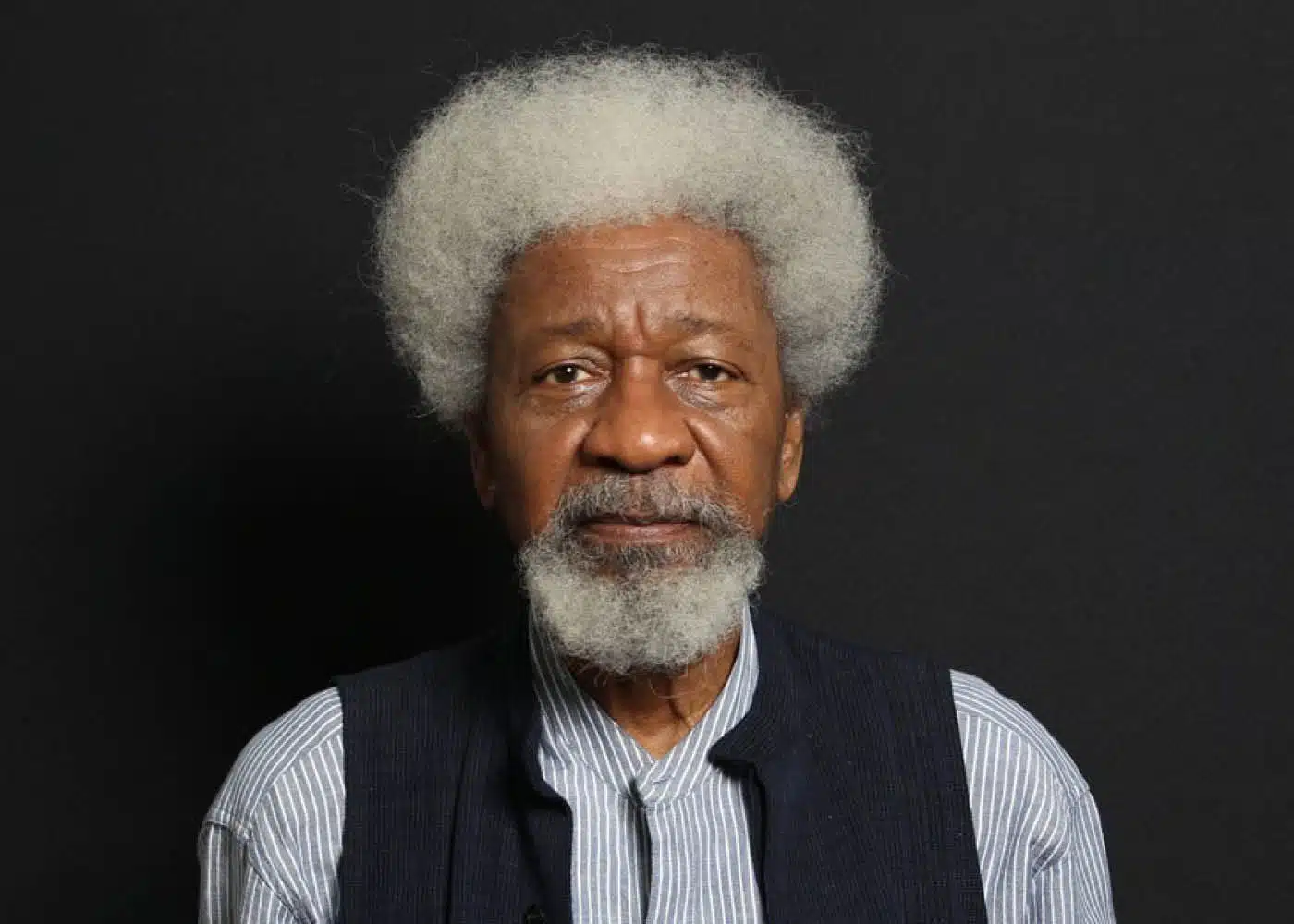 All Nigeria Needs Is Decentralisation - Wole Soyinka