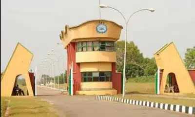 Auchi Poly