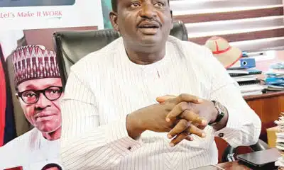 Femi Adesina