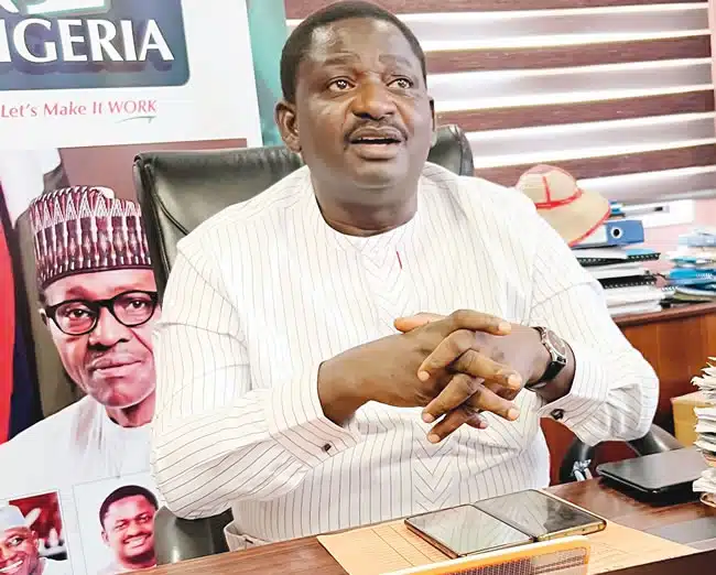 Femi Adesina