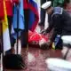 Flagbearer Slumps