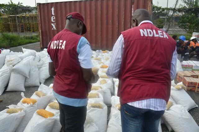 NDLEA Uncover Illicit Drugs In Ondo, Edo, FCT