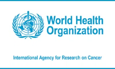 International Agency for Research on Cancer (IARC)