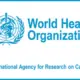 International Agency for Research on Cancer (IARC)