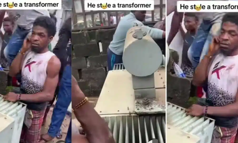 Transformer Thief