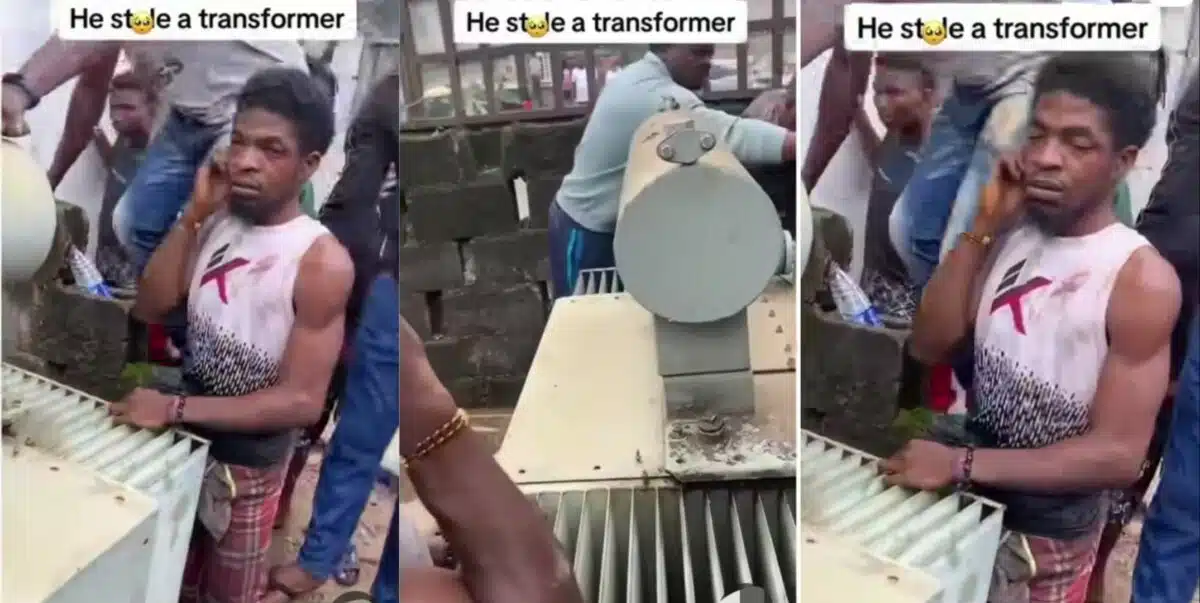 Transformer Thief