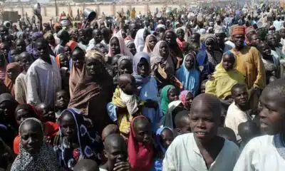 Internally Displaced Persons IDP