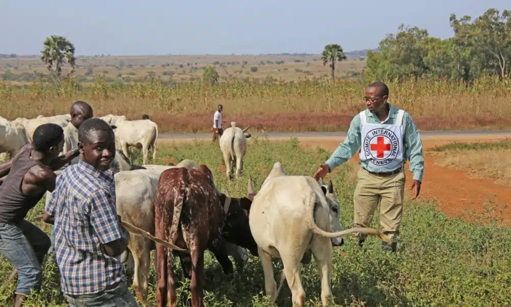 Nationwide Livestock Vaccination