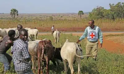 Nationwide Livestock Vaccination