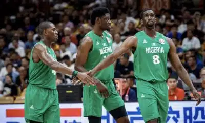 D'Tigers