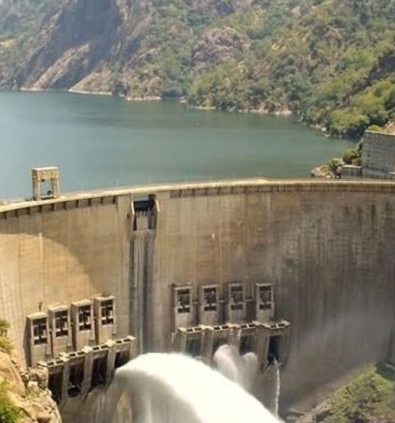 Reps Call FG's Attention To Lagdo Dam Opening