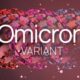 New Omicron Subvariants