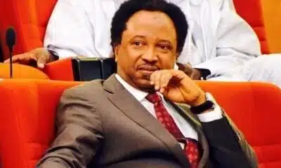 Shehu Sani