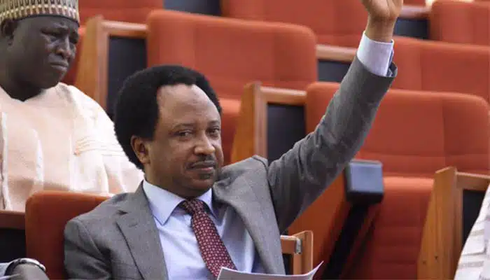 Shehu Sani Lauds Creation Of Livestock Ministry, Says It'll Help Economic Growth