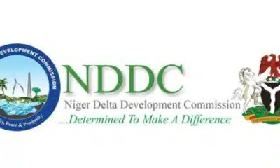 NDDC To Partner UAE On Education, Others 