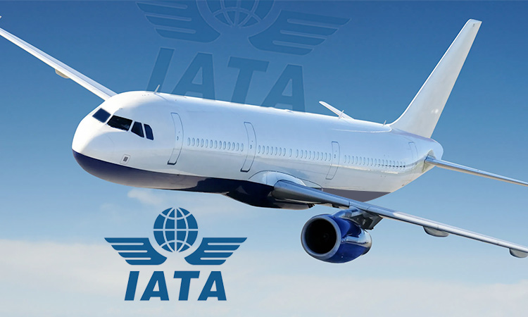IATA Bemoans Aviation Cost In Nigeria