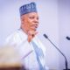 Keep The Hope Of The Nation Alive - Shettima Charges Committee
