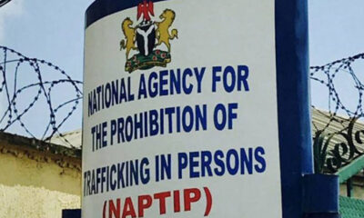 Human Trafficking: NAPTIP Secures 143 Convictions Between 2022-2023