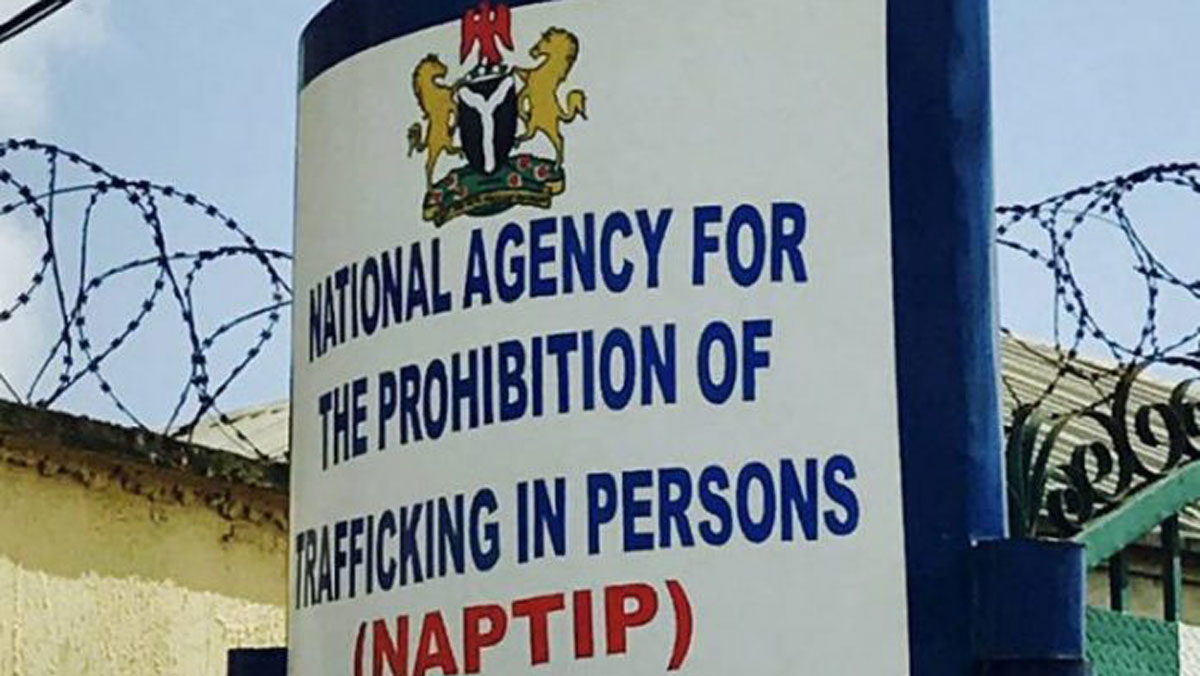 Human Trafficking: NAPTIP Secures 143 Convictions Between 2022-2023