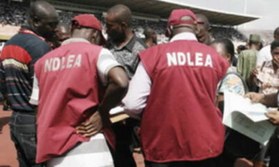 NDLEA Arrests Drug Supplier To Terrorists In Borno