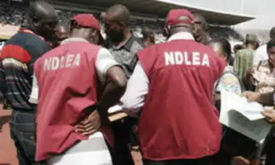 NDLEA Convicts Multiple Drug Users In Kano