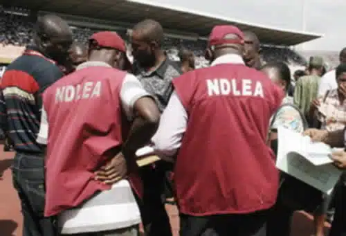 NDLEA Convicts Multiple Drug Users In Kano