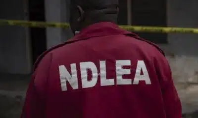 NDLEA Amends Visa Clearance Procedures, Drops Controversial Requirement For Married Women