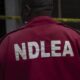 Officer Shot In The Head As Hoodlums Attack NDLEA Operatives In Edo