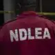 NDLEA Amends Visa Clearance Procedures, Drops Controversial Requirement For Married Women