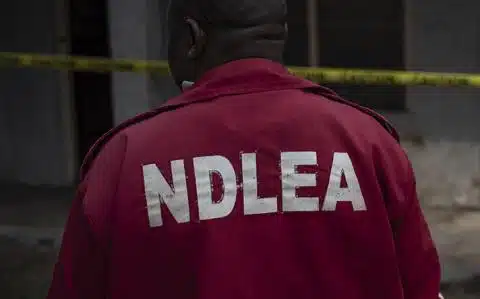 NDLEA Amends Visa Clearance Procedures, Drops Controversial Requirement For Married Women