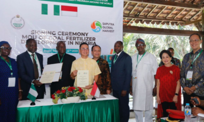 Partnering With Indonesia, Smart Move For Nigeria - NASENI