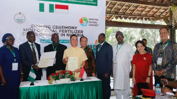 Partnering With Indonesia, Smart Move For Nigeria - NASENI