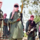 Panic As Terrorists Carry Out Multiple Operations In Katsina