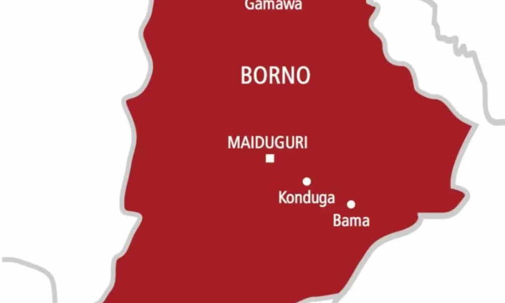 IED Explosion Kills Six Almajiri Pupils In Borno