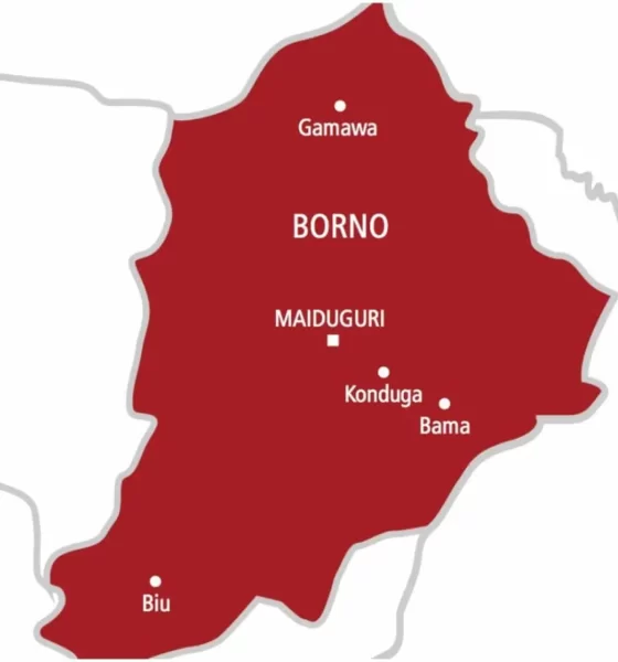 Suicide Bombers Attack Wedding Guests In Borno, Kill At Least 7