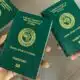 NIS Explains Reason Behind Recent Hike In International Passport Fees