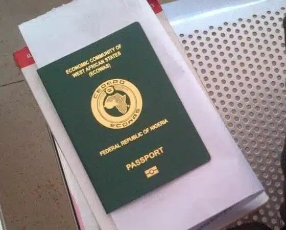 'Nigerians Abroad Can Now Renew Their Passports Online' - NIS