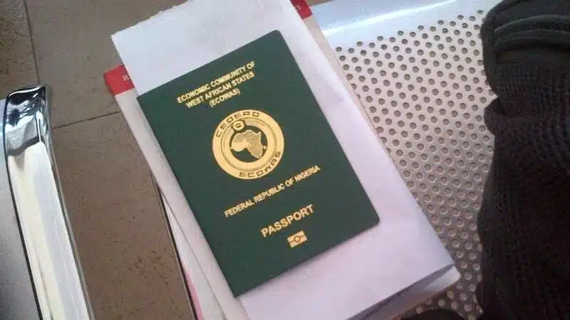 'Nigerians Abroad Can Now Renew Their Passports Online' - NIS