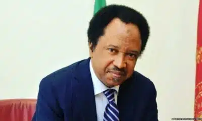 ‘It’s Like Trekking In The Sahara’ – Shehu Sani Reacts To Atiku's Visit To Buhari