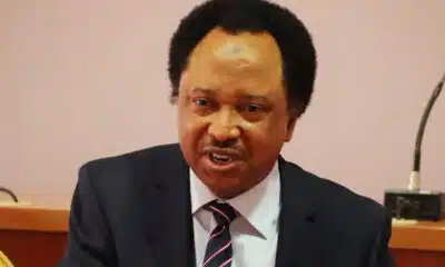 'He Can Now Rest' – Shehu Sani Reacts To Ajuri Ngelale's Leave