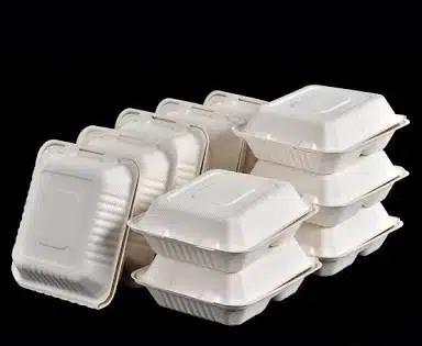 Oyo Govt Bans Use Of Styrofoam