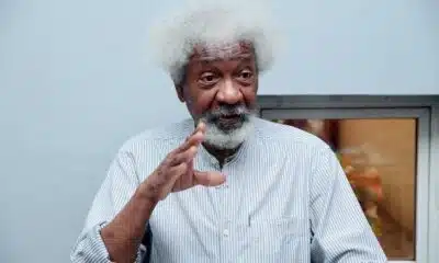 Wole Soyinka Criticises Trump, Says He Is “Menace And Consummate Liar”