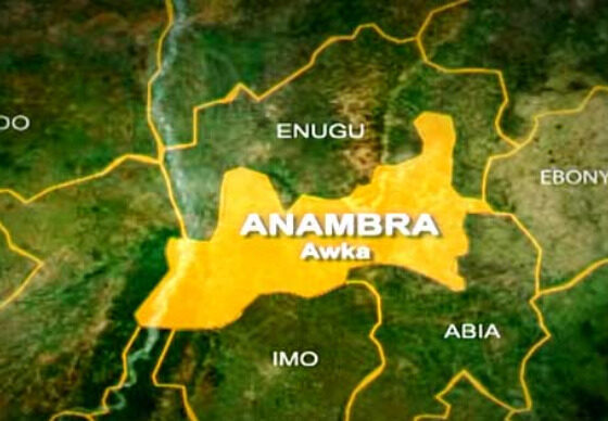 Kidnap Attempt Foiled In Anambra 