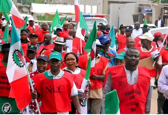 NLC Borno: Chairman Gives Reason For Opposing Clock-In Machine