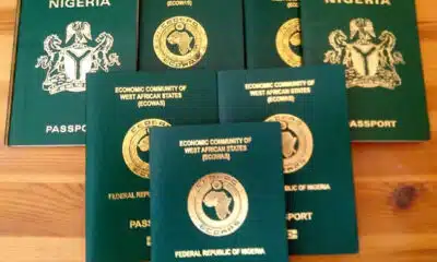 FG Hikes International Passport Fee