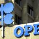 OPEC To Triple Renewable Energy