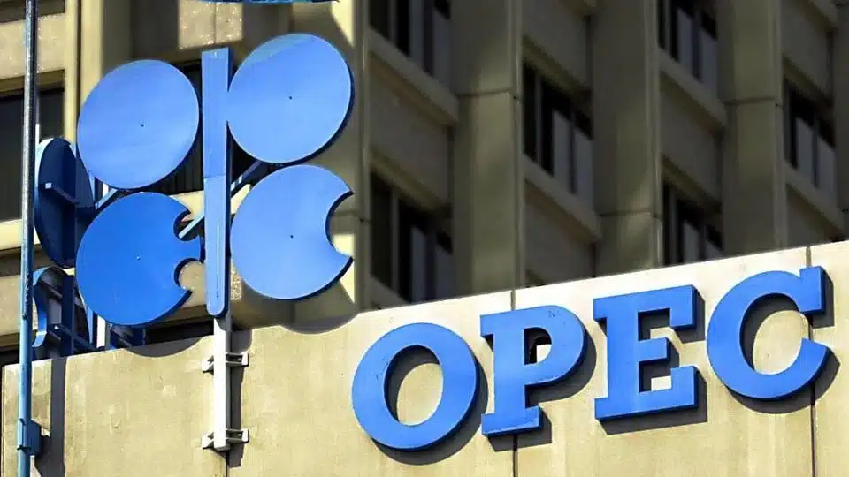 OPEC To Triple Renewable Energy